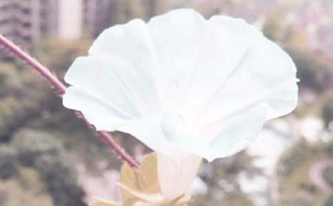 以牽?；椴牧系淖魑?/><span style=