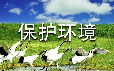 保護(hù)環(huán)境的作文400字(必備)