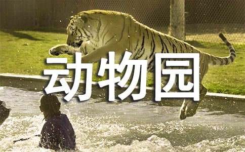 我家是個(gè)動(dòng)物園四年級(jí)作文15篇