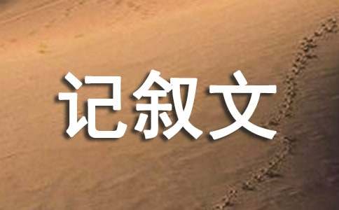 助學(xué)筑夢鑄人記敘文800字（精選18篇）