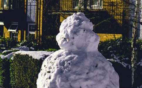 小學(xué)一年級(jí)作文冬天的雪（精選19篇）