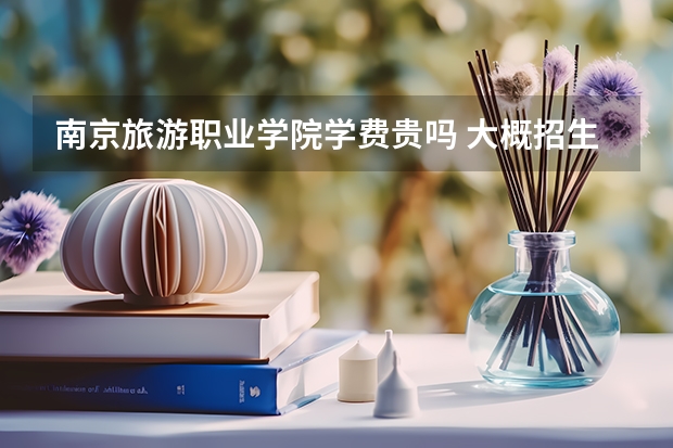 南京旅游職業(yè)學(xué)院學(xué)費貴嗎 大概招生多少人