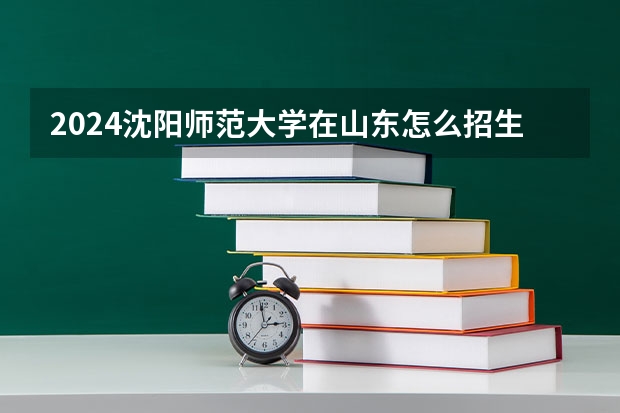 2024沈陽(yáng)師范大學(xué)在山東怎么招生