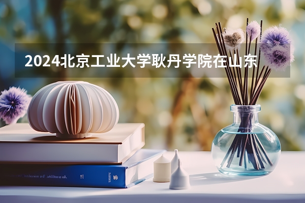 2024北京工業(yè)大學耿丹學院在山東怎么招生