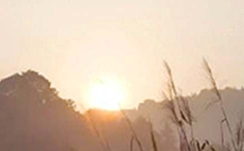 簡(jiǎn)短暖心早安寄語(yǔ)（精選45句）