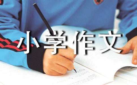 抓娃娃小學(xué)作文（精選33篇）