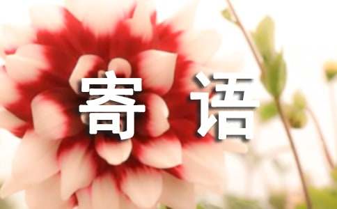 大學(xué)新生寄語260句