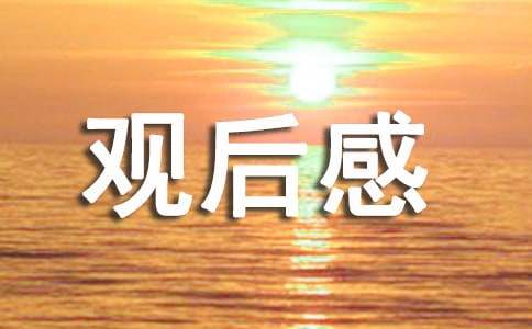 焦點(diǎn)訪談?dòng)^后感300字（通用14篇）