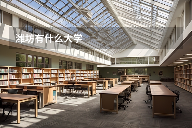濰坊有什么大學(xué)