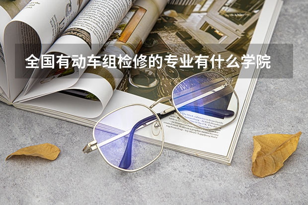 全國(guó)有動(dòng)車(chē)組檢修的專(zhuān)業(yè)有什么學(xué)院