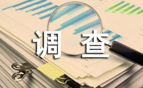 個(gè)人禮儀調(diào)查報(bào)告
