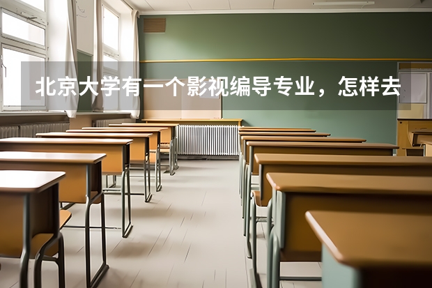 北京大學(xué)有一個(gè)影視編導(dǎo)專業(yè)，怎樣去考？和北京電影學(xué)院的考試有什么區(qū)別？