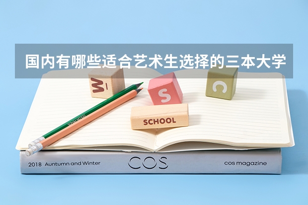 國內(nèi)有哪些適合藝術(shù)生選擇的三本大學(xué)值得推薦？