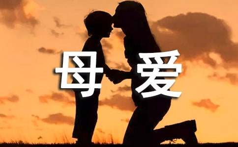 流水般的母愛初一作文900字