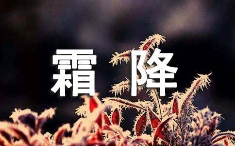關(guān)于霜降的諺語360句