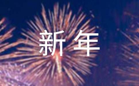 出納員財(cái)務(wù)人員新年工作計(jì)劃