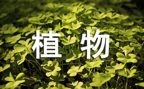 關(guān)于植物學(xué)的實(shí)習(xí)報(bào)告