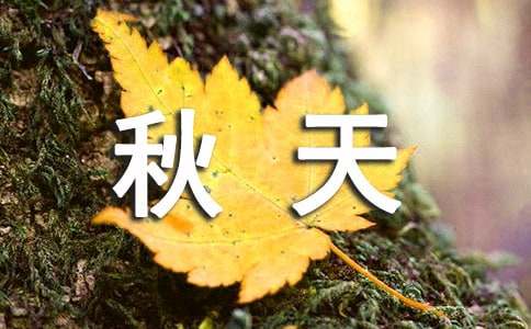 關(guān)于秋天的詞語(yǔ)4個(gè)字120個(gè)