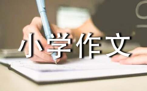 小學(xué)作文多彩的活動(dòng)