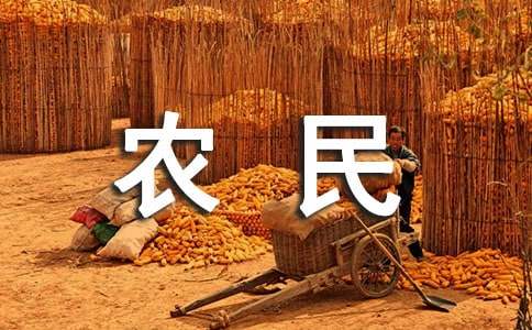 農(nóng)民工調查報告(17篇)