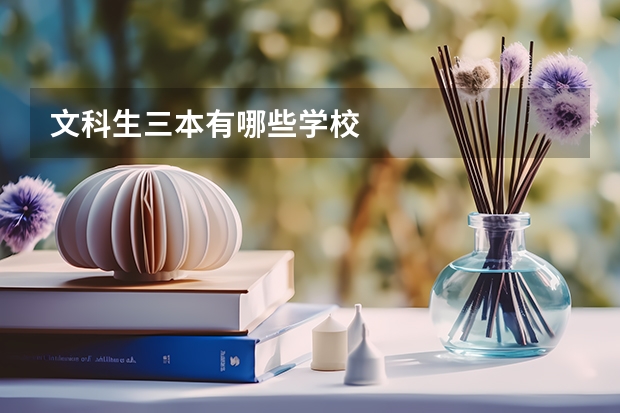 文科生三本有哪些學校
