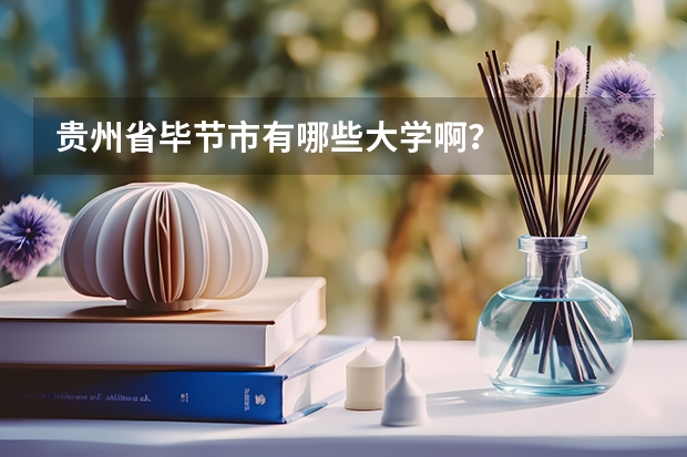 貴州省畢節(jié)市有哪些大學(xué)??？