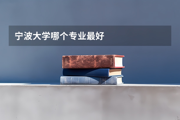 寧波大學哪個專業(yè)最好