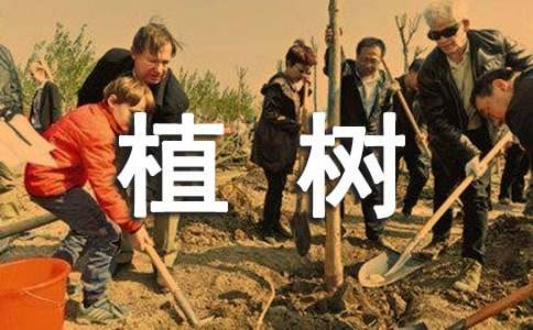 關(guān)于植樹造林的諺語匯總120句