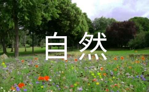 自然風光的經(jīng)典諺語260句