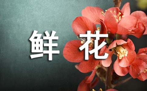 以鮮花寫一句擬人句精選120句
