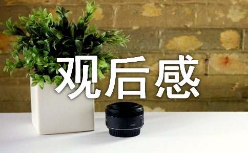 勿忘國(guó)恥振興中華觀后感（通用6篇）