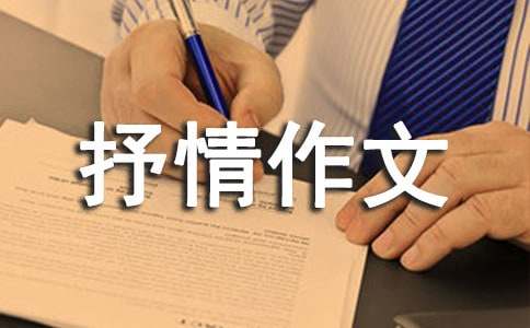我的歌星夢(mèng)抒情作文（精選13篇）