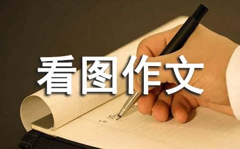 二年級看圖作文：小猴過河（精選29篇）