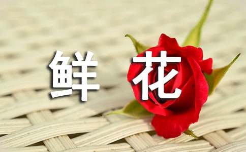 鮮花盛開(kāi)了改為擬人句精選