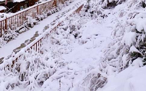 關(guān)于下雪的二年級(jí)作文