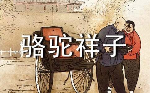 駱駝祥子讀書(shū)筆記（精品）