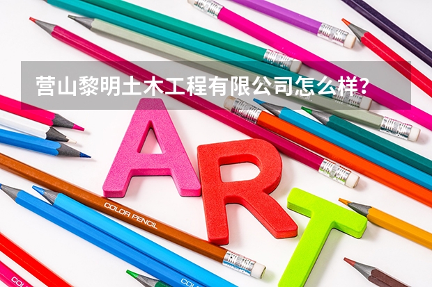 營山黎明土木工程有限公司怎么樣？