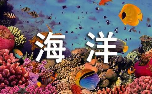 海洋天堂觀(guān)后感15篇