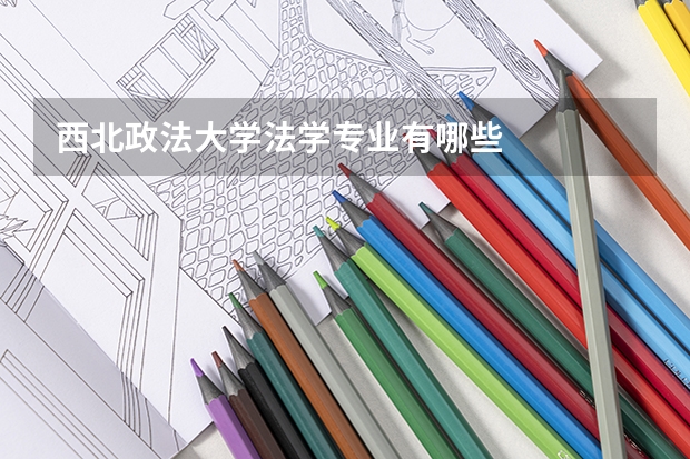 西北政法大學(xué)法學(xué)專業(yè)有哪些