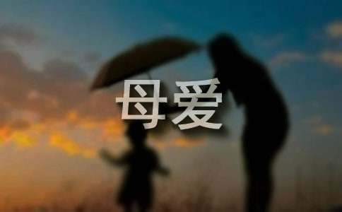 描寫母愛的優(yōu)美段落220段