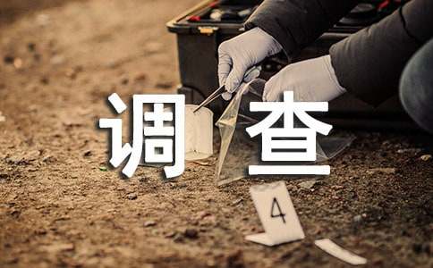 學生上網情況調查報告