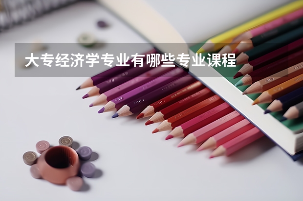 大專經濟學專業(yè)有哪些專業(yè)課程
