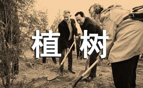 植樹的二年級作文優(yōu)秀