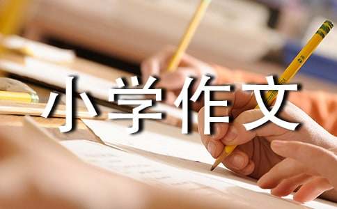 小學(xué)作文：說說我自己