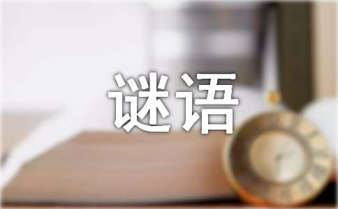 有趣的猜謎語活動(dòng)作文（精選3篇）