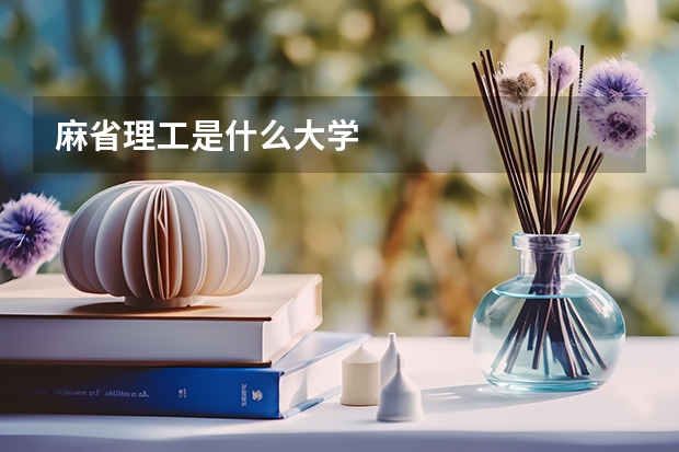 麻省理工是什么大學(xué)