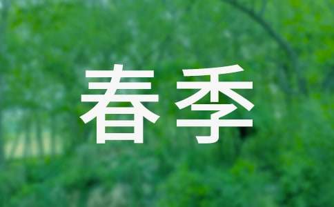 小學(xué)后勤工作計劃2025春季