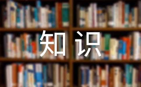 寫作入門基礎(chǔ)知識(shí)