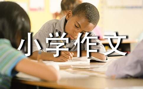上海一日游小學(xué)作文