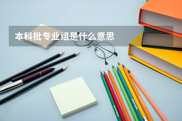 本科批專業(yè)組是什么意思